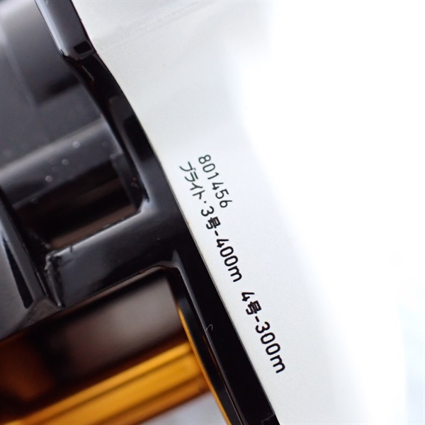 １２レオブリッツ３００Ｊ